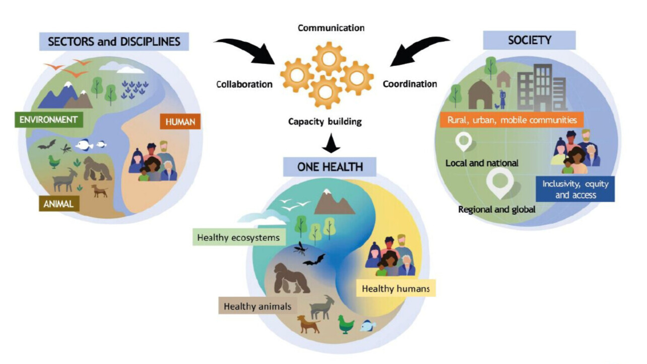 One Health approach