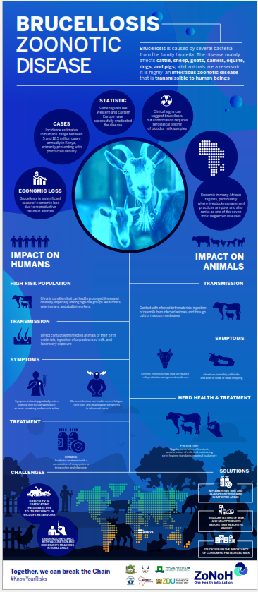 Brucellosis Infographic