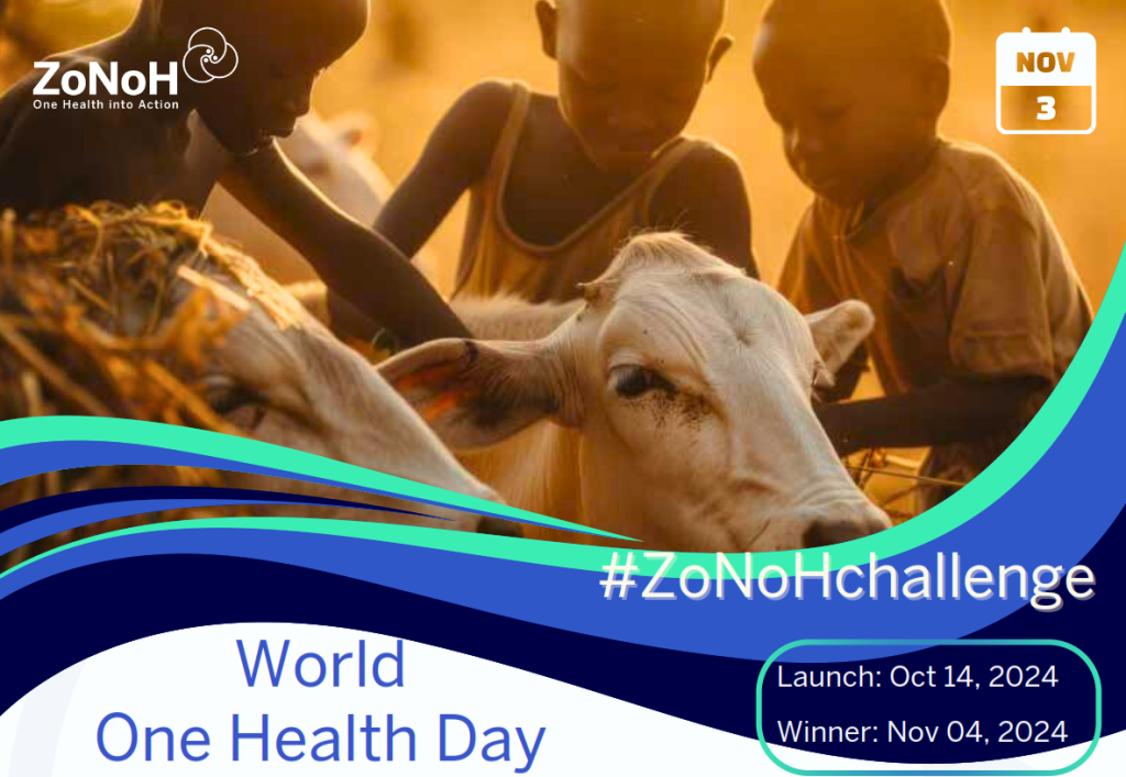 ZoNoHChallenge contest 2024