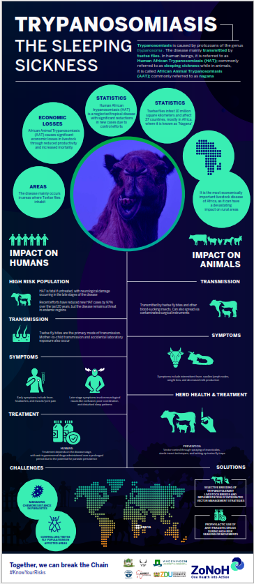 Trypanosomiasis infographic