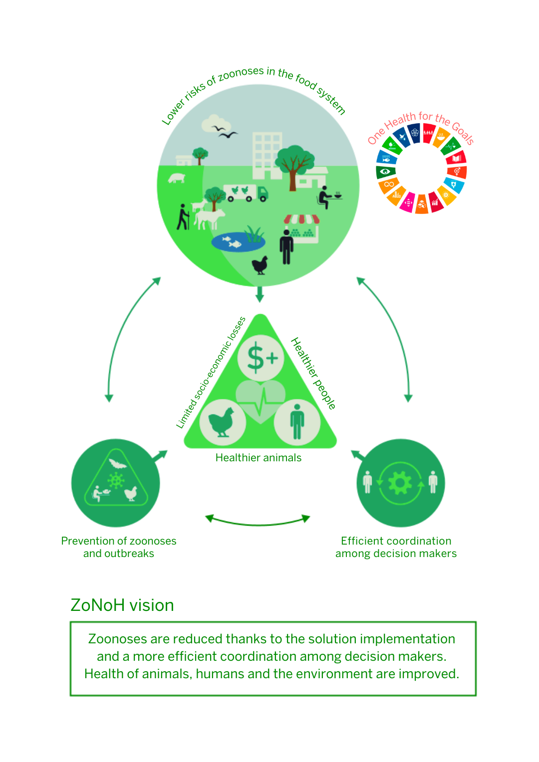ZoNoH vision diagram transparent