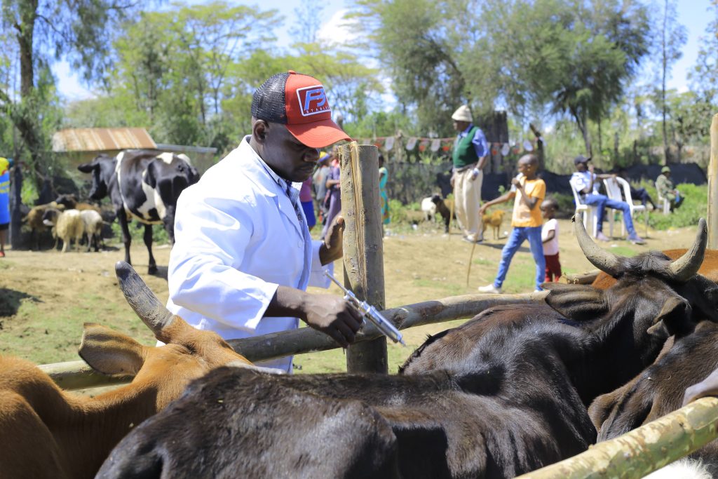 Animal vaccination ongoing
